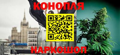 ECSTASY Бийск