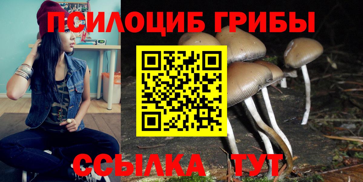 Галлюциногенные грибы мицелий  Вход с VPN  Жигулёвск 
